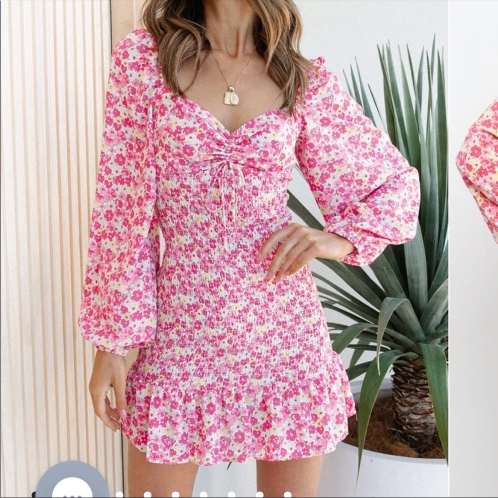 Petal & Pup Evengi Dress
